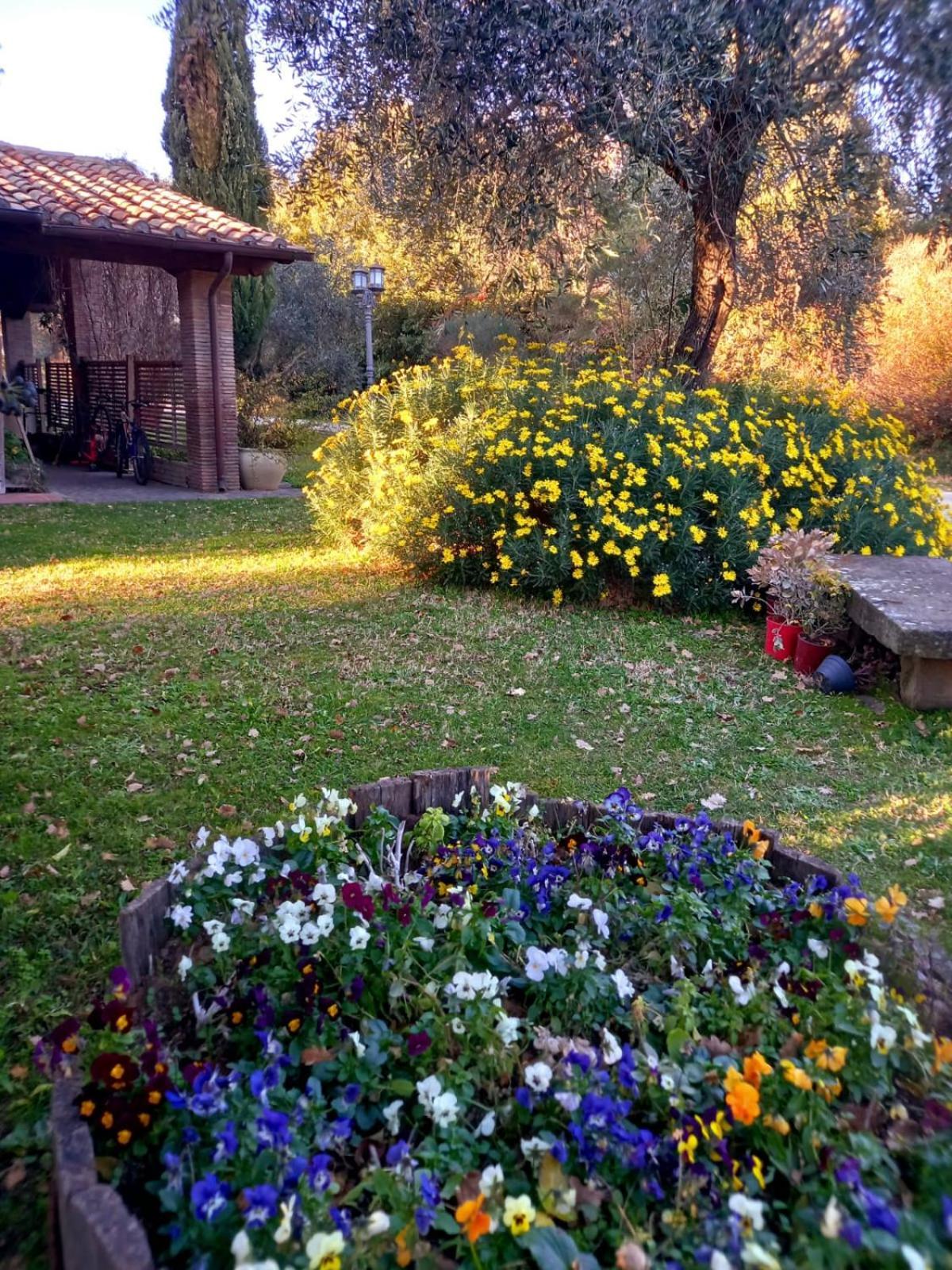 Bed and Breakfast La Chiesuola Bagnaia  Экстерьер фото